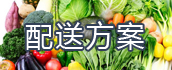 配送方案