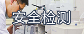 安全檢測