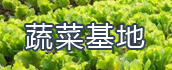 蔬菜基地