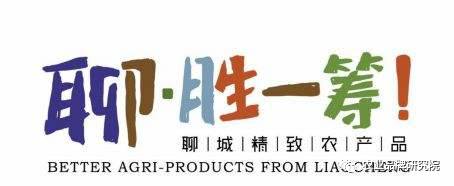 品牌追蹤 | “聊?勝一籌”何以勝一籌？看看山東聊城怎么做(圖1)