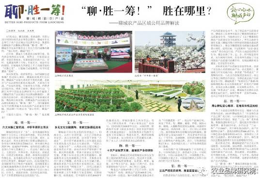 品牌追蹤 | “聊?勝一籌”何以勝一籌？看看山東聊城怎么做(圖5)