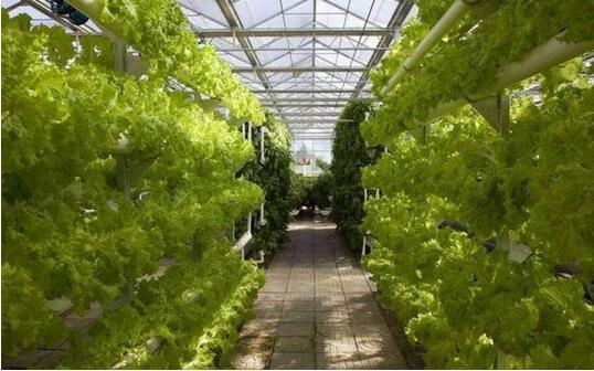 “聊·勝一籌！”為精致生活而生(圖1)