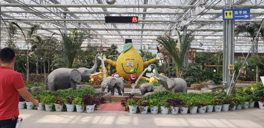 現(xiàn)代化基地種植(圖1)