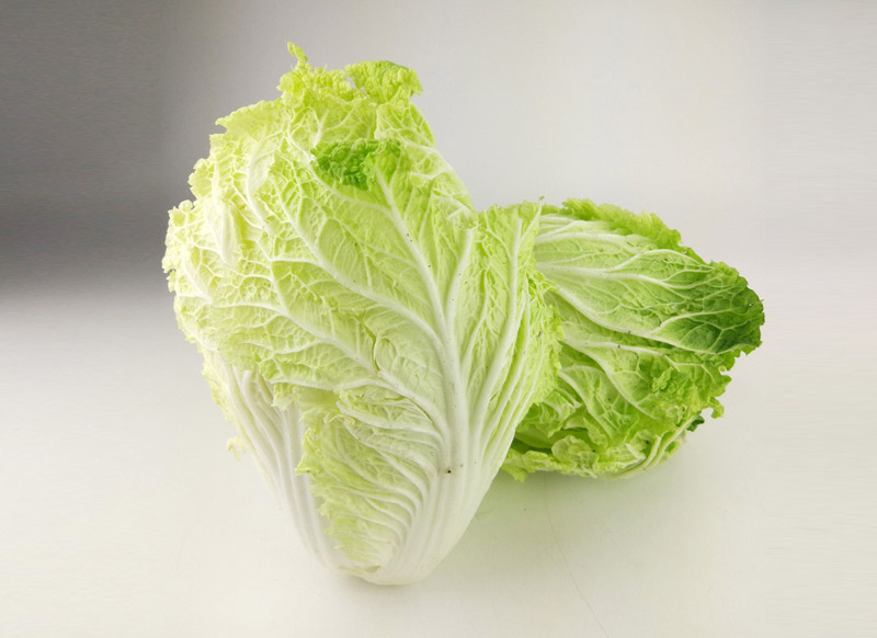 大白菜(圖1)