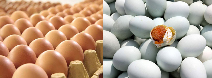 蛋類(圖1)